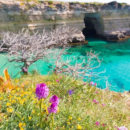 House Marzia In Otranto, Close Beaches. * Отранто