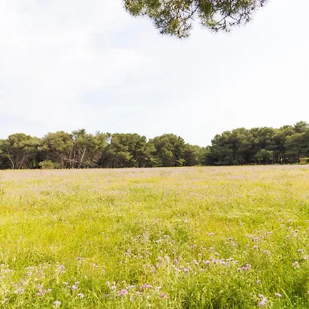 House Marzia In Otranto, Close Beaches. Будинок відпочинку Отранто