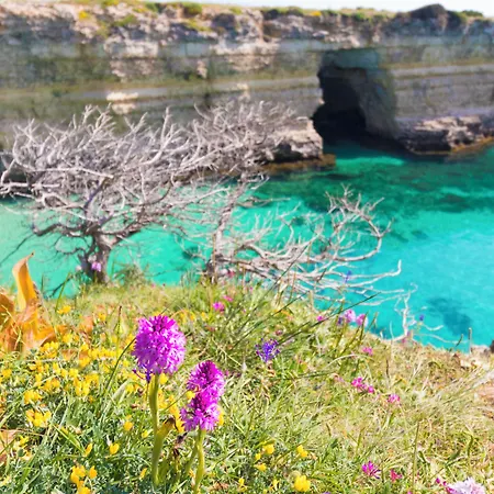 House Marzia In Otranto, Close Beaches. Otranto