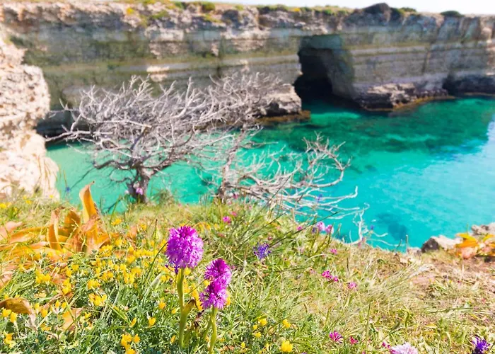 House Marzia In Otranto, Close Beaches. * 오트란토