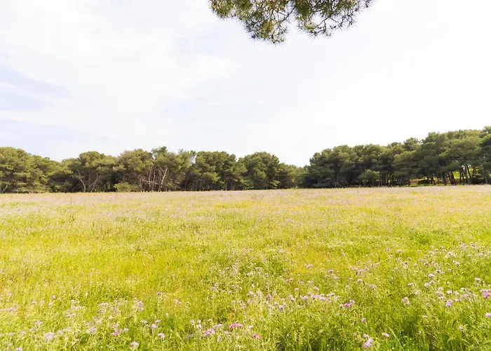 House Marzia In Otranto, Close Beaches. Holiday home Otranto